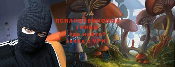 a pvp Вязьма